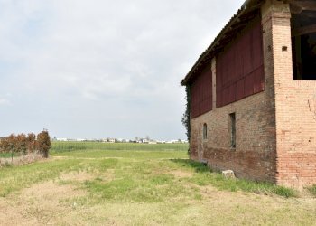 giardino - Rustico Via Armarolo 1, Minerbio - foto 27