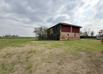 giardino - Rustico Via Armarolo 1, Minerbio - foto 30