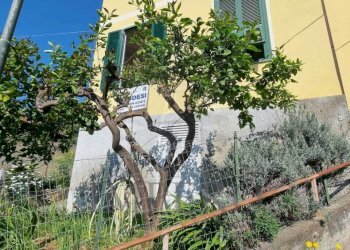 3.jpeg - Porzione di casa Via Poggio Ponente 5, Vallecrosia - foto 3