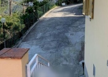 779404106.jpg - Appartamento Via Olivella Caminata 36, Casarza Ligure - foto 16