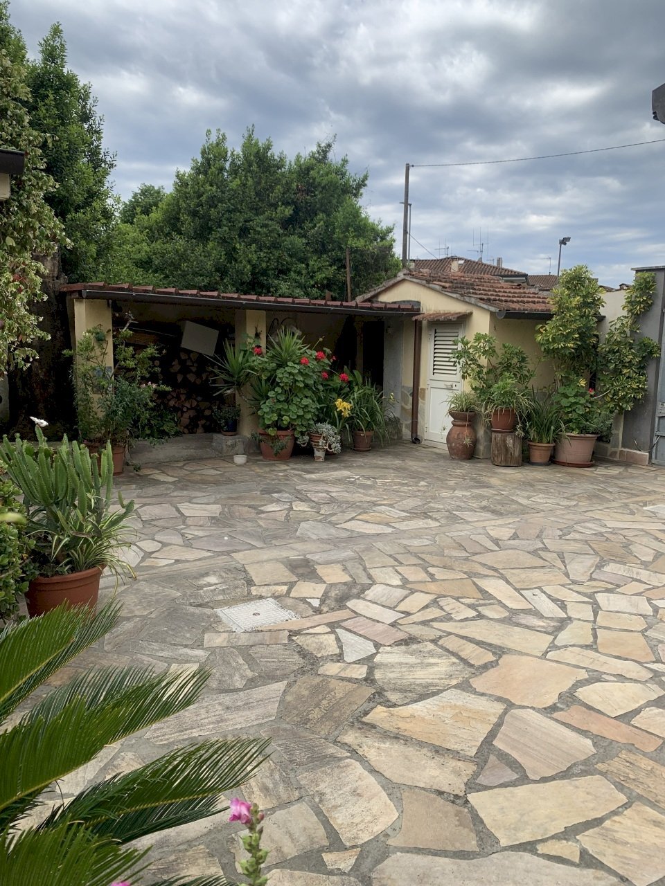 IMG_8885.jpg - Porzione di casa Camaiore - foto 3