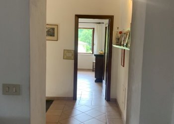 IMG_8865.jpg - Porzione di casa Camaiore - foto 27