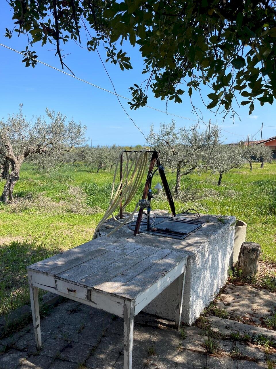 WhatsApp Image 2026-04-10 at 17.29.14 (5).jpeg - Appartamento Via Provinciale della Rocca 39, Santa Maria Imbaro - foto 3