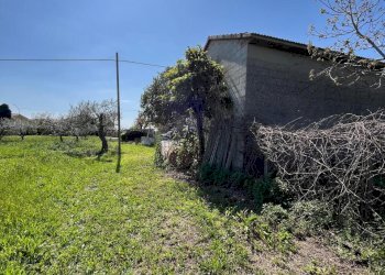 WhatsApp Image 2026-04-10 at 17.29.14 (1).jpeg - Appartamento Via Provinciale della Rocca 39, Santa Maria Imbaro - foto 4