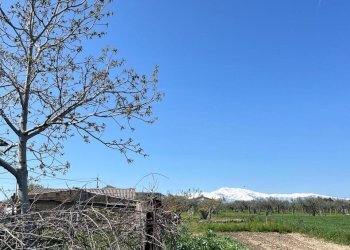 WhatsApp Image 2026-04-10 at 17.29.14.jpeg - Appartamento Via Provinciale della Rocca 39, Santa Maria Imbaro - foto 22