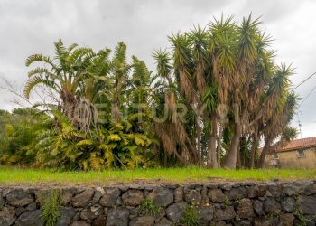 Via Armando Diaz Pisano Zafferana (9).jpg - Villa Via Armando Diaz 262, Zafferana Etnea - foto 22