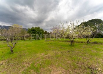 Via Armando Diaz Pisano Zafferana (14).jpg - Villa Via Armando Diaz 262, Zafferana Etnea - foto 27