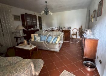 PHOTO-2026-04-03-15-30-59 2.jpg - Porzione di casa Seravezza - foto 3