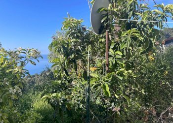 Quadrilocale Ventimiglia - foto 17