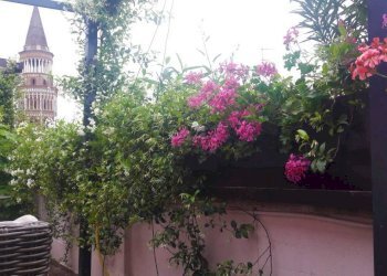 Trilocale Milano - foto 16