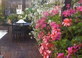 Trilocale Milano - foto 19