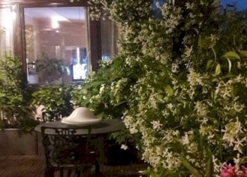 Trilocale Milano - foto 20