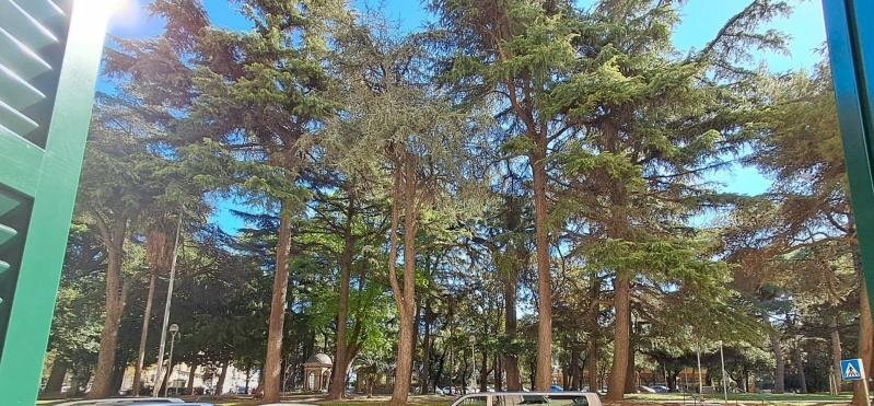 Quadrilocale Savona (zona Centro) - foto 1