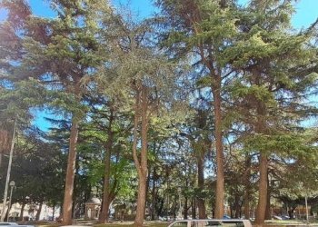 Quadrilocale Savona (zona Centro) - foto 1