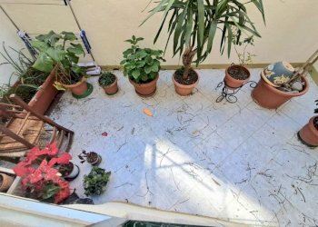 Quadrilocale Savona (zona Centro) - foto 5