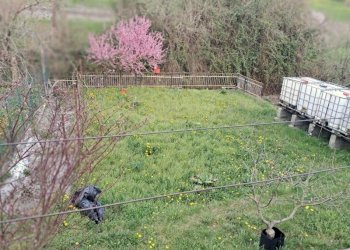 Casa indipendente Cosseria - foto 7