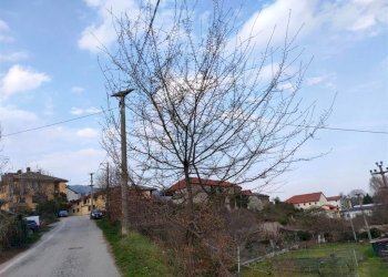 Trilocale Torre Pellice - foto 18