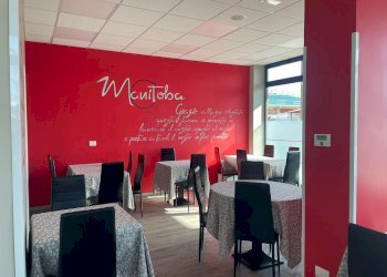 Pizzeria via Risorgimento, 1, Collegno - photo 19