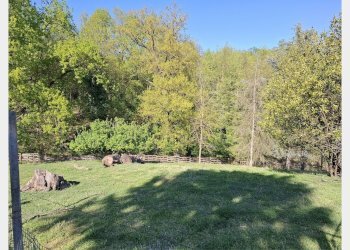 Semi-detached house Asti - photo 53