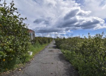 Vista delle montagne - Terreno agricolo Contrada Vignagrande
 
34, Fiumefreddo di Sicilia - foto 4