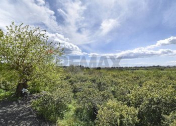 Vista delle montagne - Terreno agricolo Contrada Vignagrande
 
34, Fiumefreddo di Sicilia - foto 10