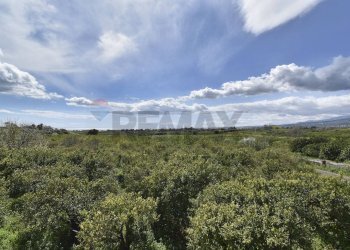 Vista delle montagne - Terreno agricolo Contrada Vignagrande
 
34, Fiumefreddo di Sicilia - foto 11