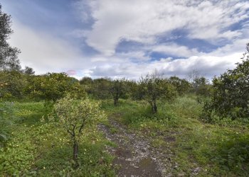 Vista delle montagne - Terreno agricolo Contrada Vignagrande
 
34, Fiumefreddo di Sicilia - foto 25