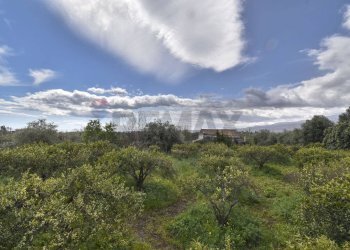 Vista delle montagne - Terreno agricolo Contrada Vignagrande
 
34, Fiumefreddo di Sicilia - foto 26