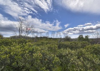 Vista delle montagne - Terreno agricolo Contrada Vignagrande
 
34, Fiumefreddo di Sicilia - foto 27