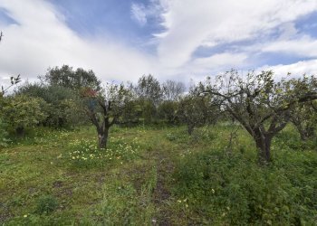 Giardino - Terreno agricolo Contrada Vignagrande
 
34, Fiumefreddo di Sicilia - foto 28