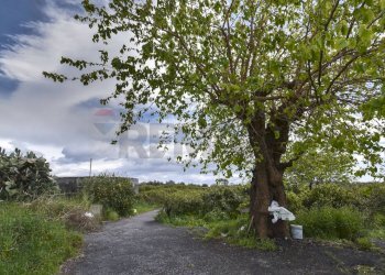 Giardino - Terreno agricolo Contrada Vignagrande
 
34, Fiumefreddo di Sicilia - foto 30