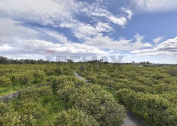 Vista delle montagne - Terreno agricolo Contrada Vignagrande
 
34, Fiumefreddo di Sicilia - foto 33