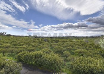Vista delle montagne - Terreno agricolo Contrada Vignagrande
 
34, Fiumefreddo di Sicilia - foto 34