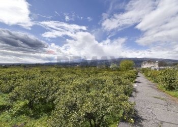 Vista delle montagne - Terreno agricolo Contrada Vignagrande
 
34, Fiumefreddo di Sicilia - foto 36