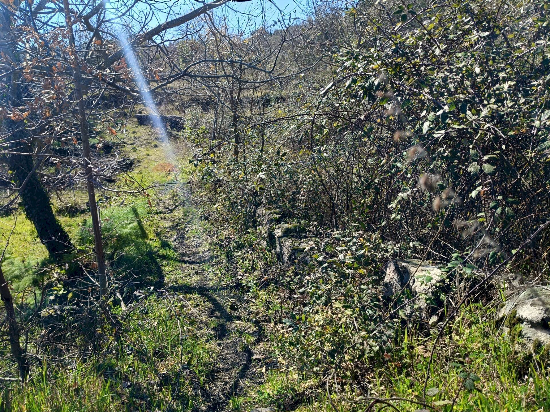 Vista delle montagne - Terreno agricolo via Montargano, Mascali - foto 2
