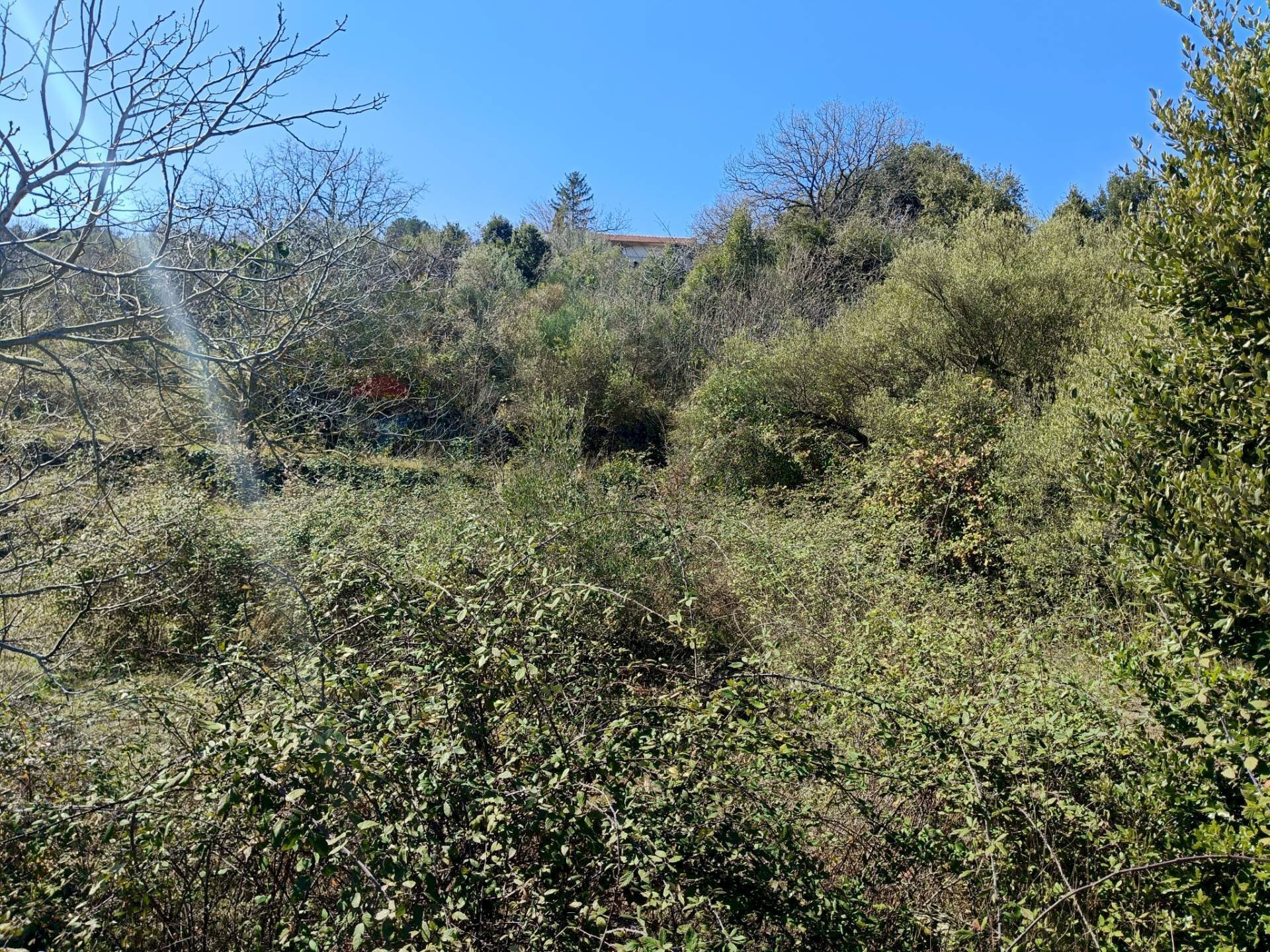 Non correlato - Terreno agricolo Via Vena, Piedimonte Etneo - foto 2