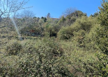Non correlato - Terreno agricolo Via Vena, Piedimonte Etneo - foto 2