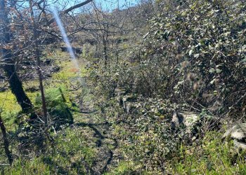 Vista delle montagne - Terreno agricolo Via Vena, Piedimonte Etneo - foto 3