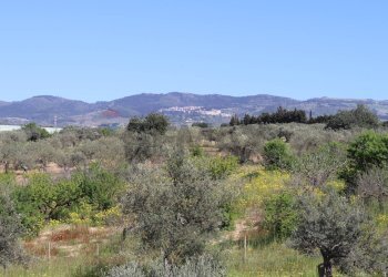 Vista delle montagne - Villa C.da Roccazzo
 
snc, Chiaramonte Gulfi - foto 13
