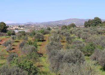 Vista delle montagne - Villa C.da Roccazzo
 
snc, Chiaramonte Gulfi - foto 14