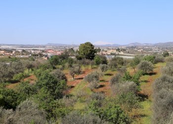 Vista delle montagne - Villa C.da Roccazzo
 
snc, Chiaramonte Gulfi - foto 15