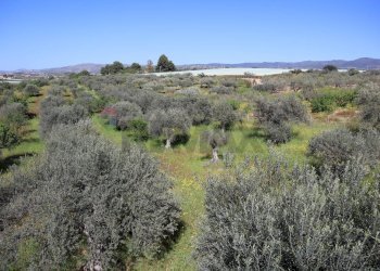 Vista delle montagne - Villa C.da Roccazzo
 
snc, Chiaramonte Gulfi - foto 16