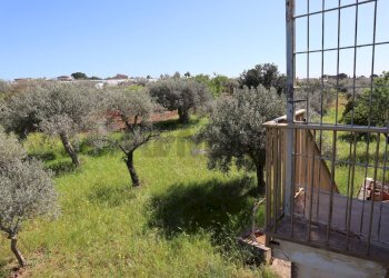 Giardino - Villa C.da Roccazzo
 
snc, Chiaramonte Gulfi - foto 17