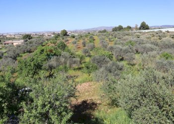 Vista delle montagne - Villa C.da Roccazzo
 
snc, Chiaramonte Gulfi - foto 18