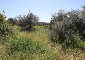 Giardino - Villa C.da Roccazzo
 
snc, Chiaramonte Gulfi - foto 22