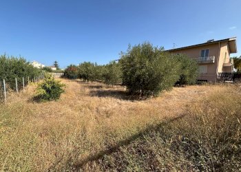 Giardino - Terreno edificabile Cinisi - foto 1