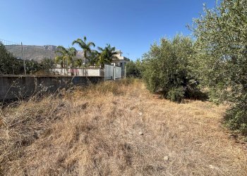 Giardino - Terreno edificabile Cinisi - foto 9