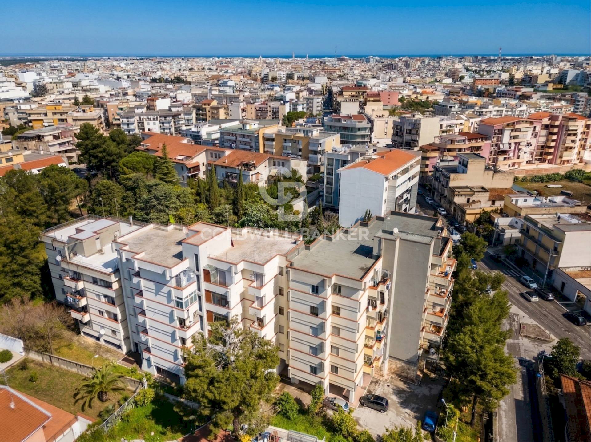 Foto 2 - Appartamento Via Castel del Monte
17, Andria - foto 2