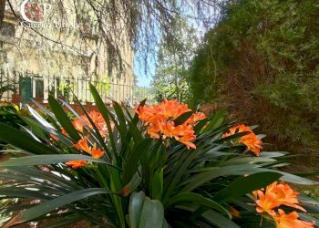 Foto 4 - Casa indipendente via San Zanobi
 
10, Firenze - foto 4