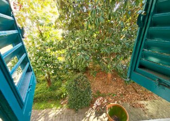 Foto 9 - Casa indipendente via San Zanobi
 
10, Firenze - foto 9